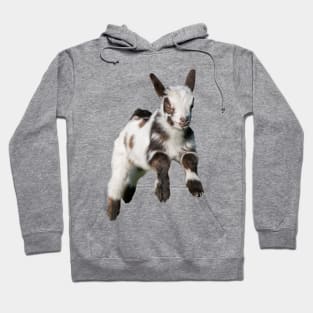 Bouncing Baby Goat 2 Hoodie